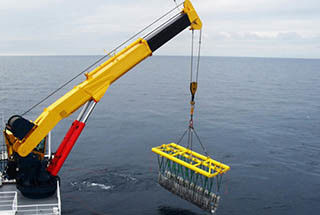 รีโมทคอนโทรล Knuckle Boom Marine Deck Crane 10ton Customized