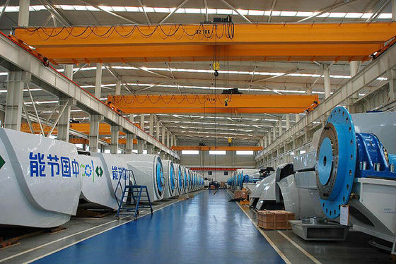 FEM Standard Double Girder Overhead Crane 10 Ton 6m-30m Lifting